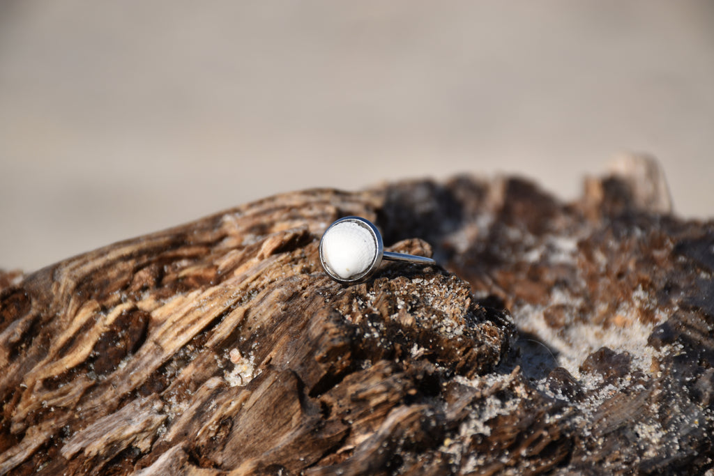 Muschelring Edelstahl