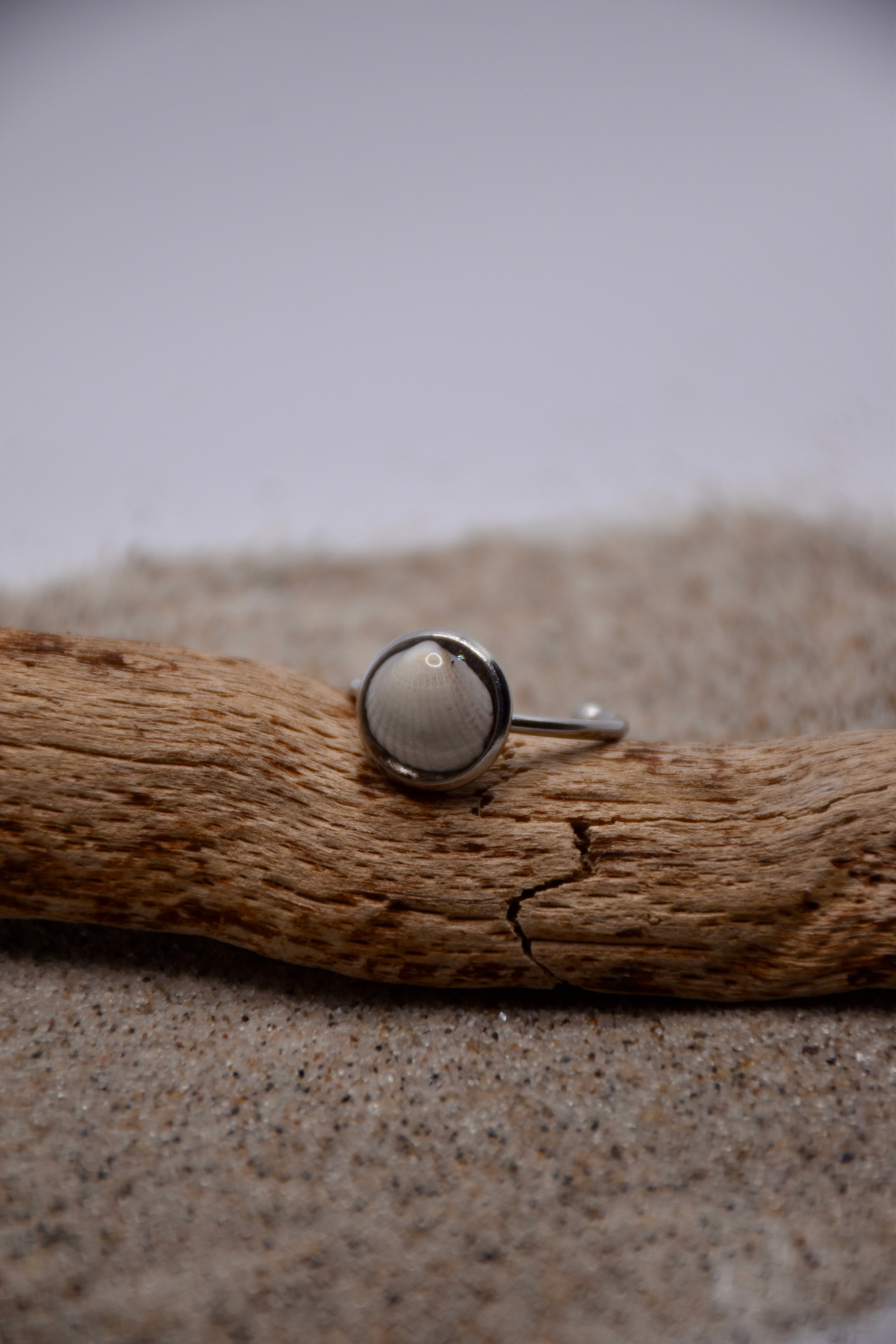 Muschelring Edelstahl