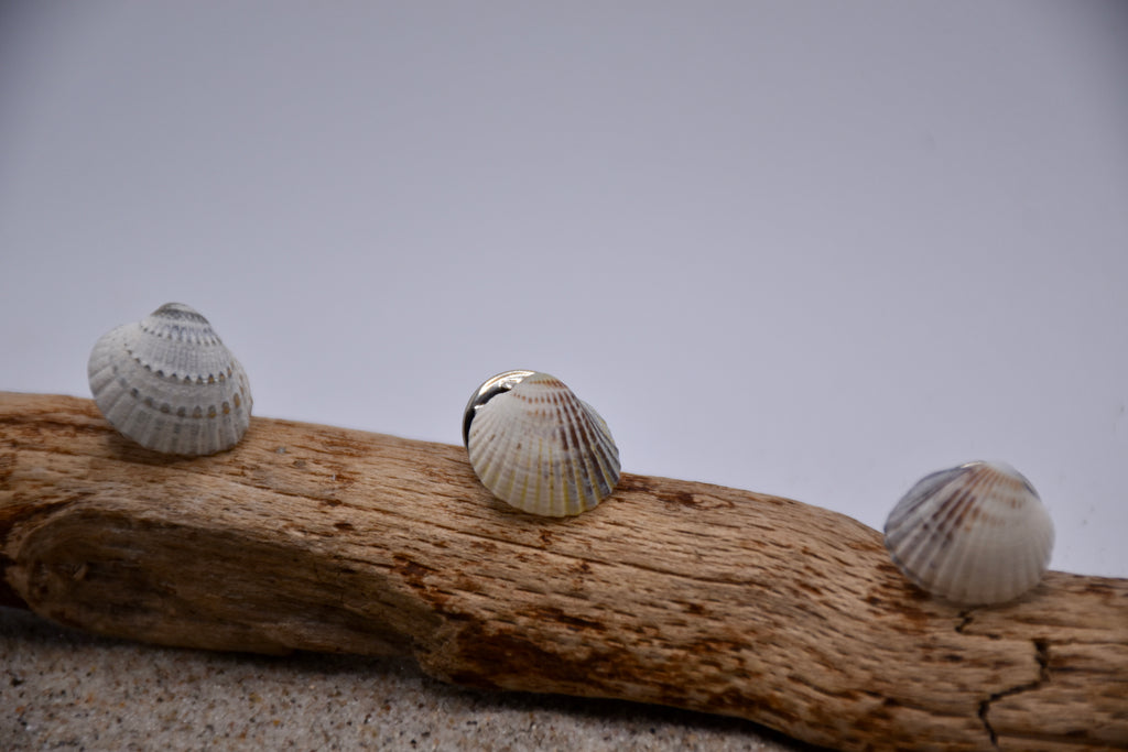 Muschel - Pin