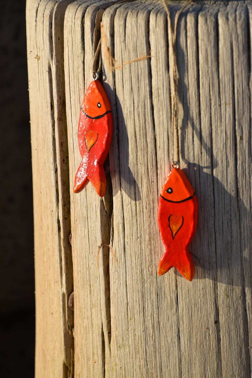 Tonfische Feuerfisch