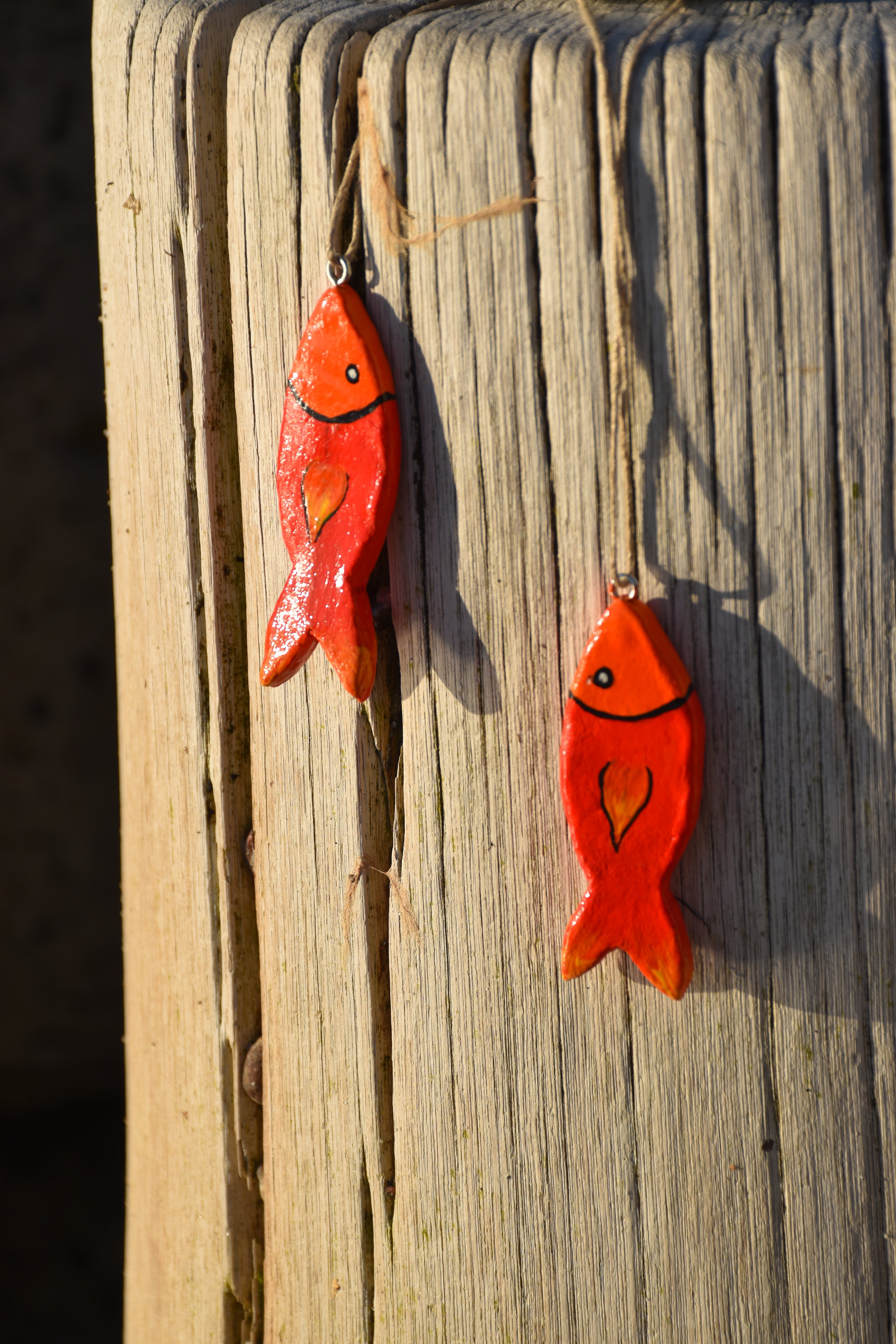 Tonfische Feuerfisch
