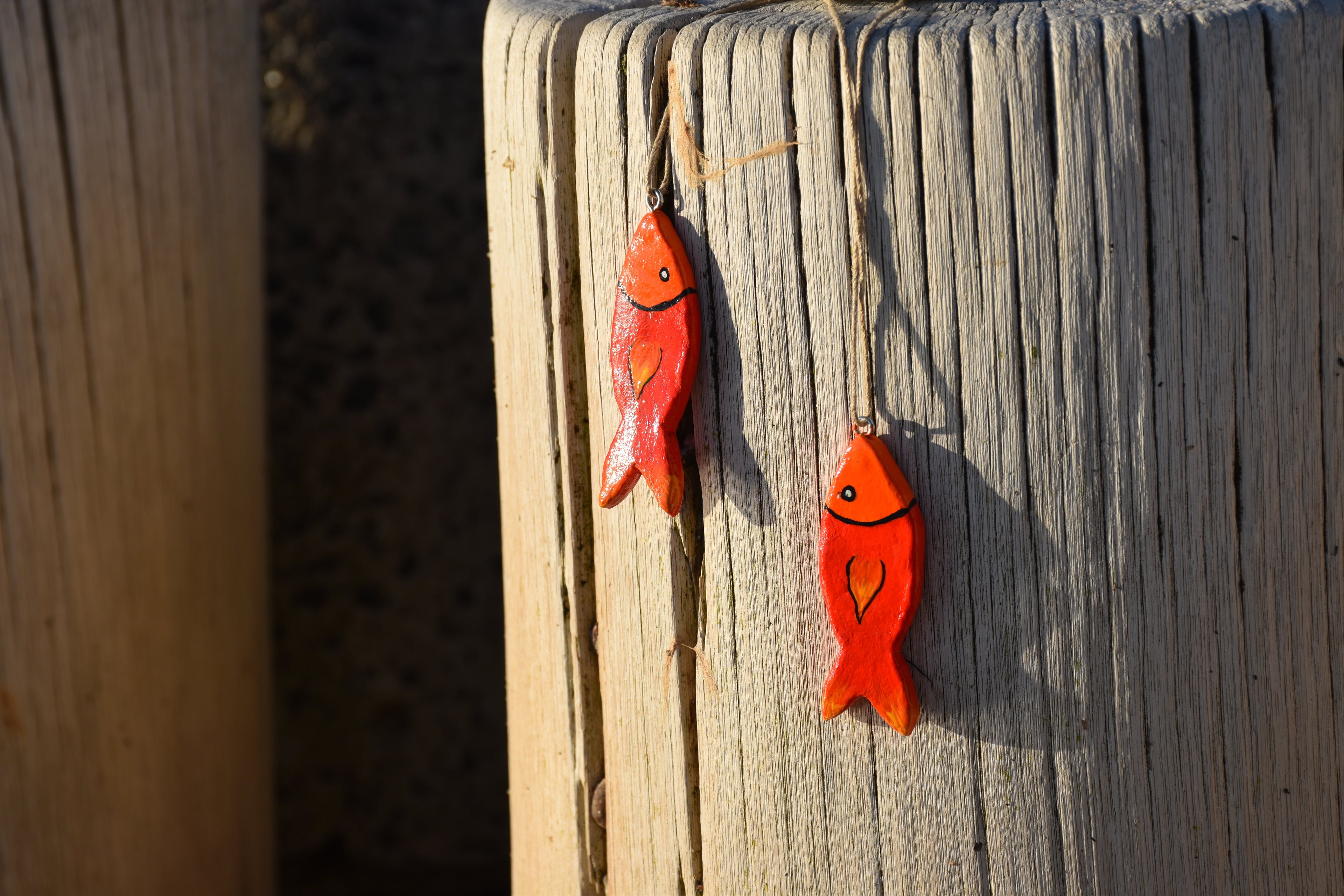 Tonfische Feuerfisch