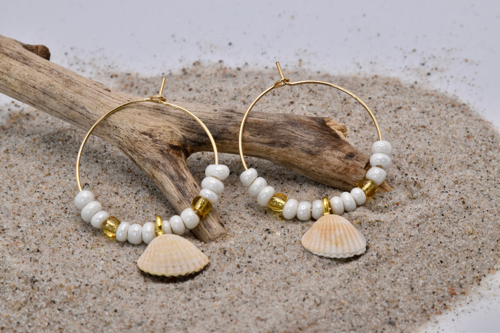 Creolen Muscheln