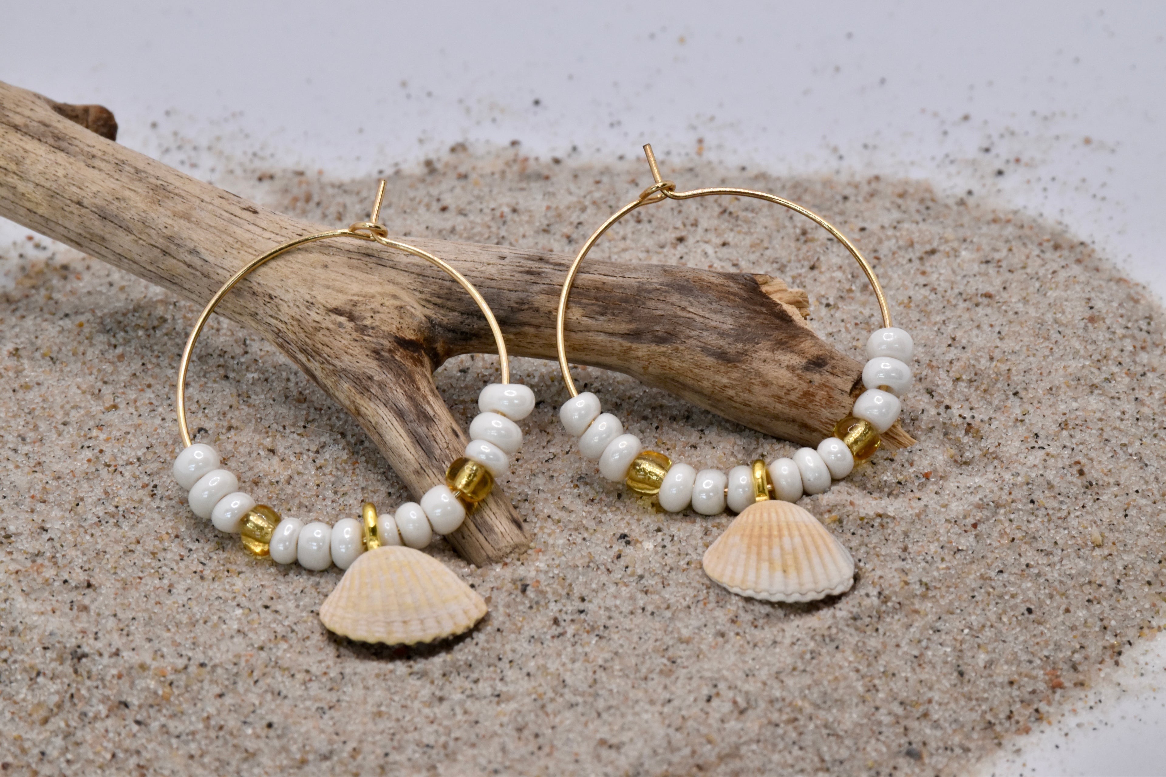 Creolen Muscheln