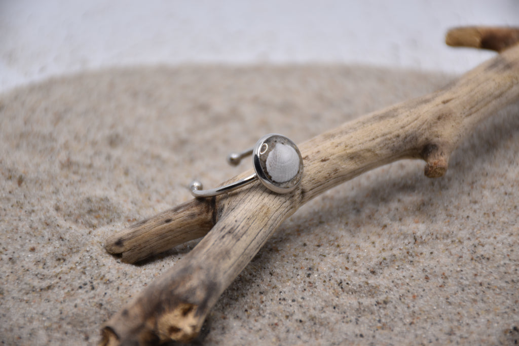 Muschelring Edelstahl