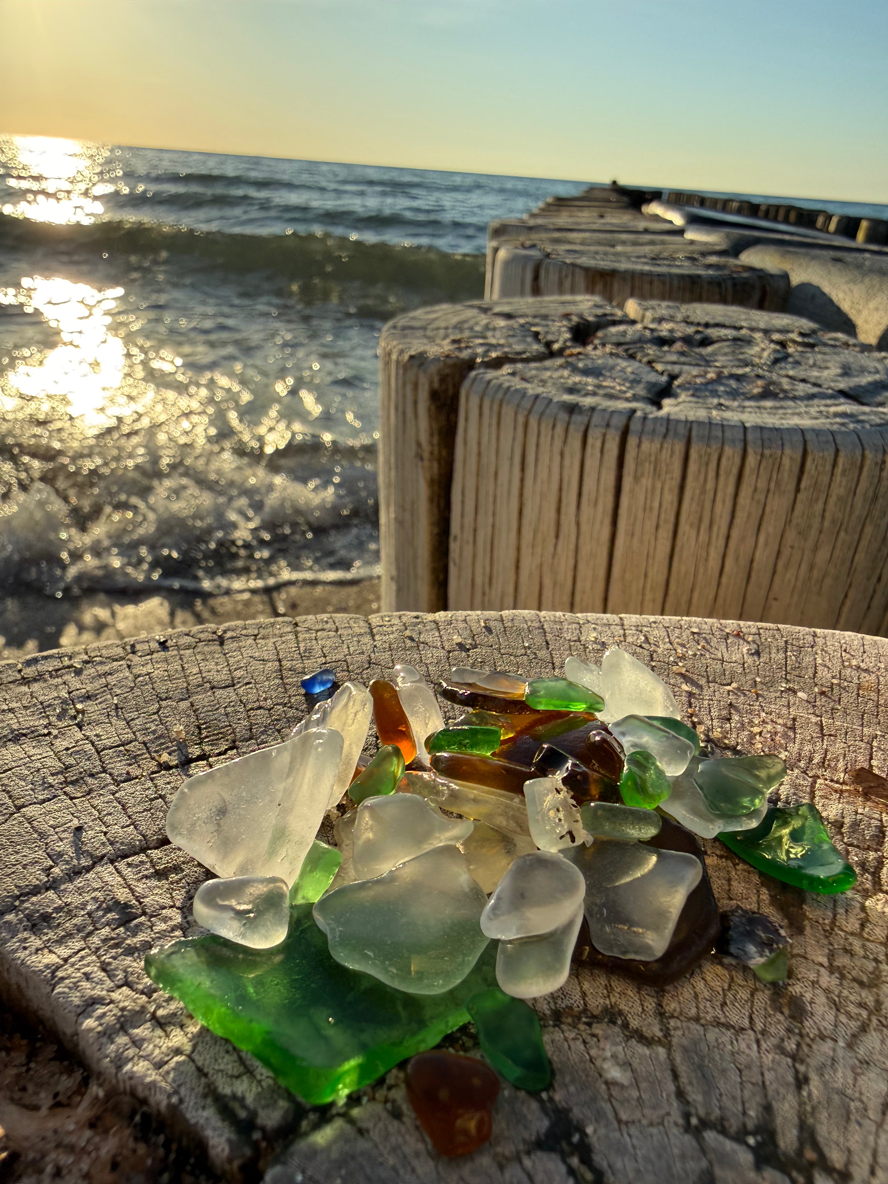 Strandguttasche mit Muschelnpin